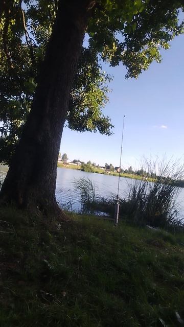 На природе