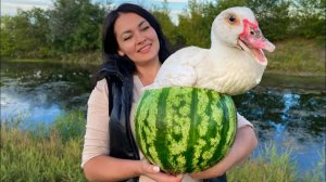 Утка с фруктами в арбузе, запеченная в тандыре! Рецепт из сказки