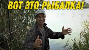 Жирный УЛОВ в КАМЫШАХ на УДОЧКУ, давно Так не Ловили с Батей РЫБУ, Классная РЫБАЛКА!!!