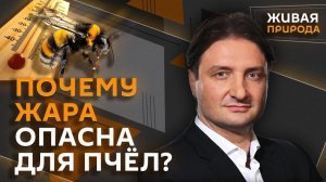 Эдгард Запашный. Как питомцы влияют на здоровье и станет ли гибель пчел началом конца света