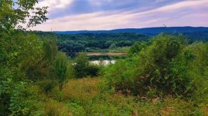 Божественное Пение Птиц и Красивая Природа Подарят Вам Хорошее Настроение Заряд Бодрости и Здоровья