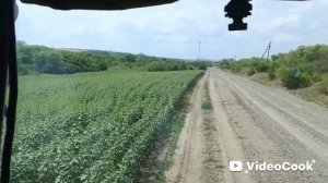 Уборка ярового ячменя, с экстримом.