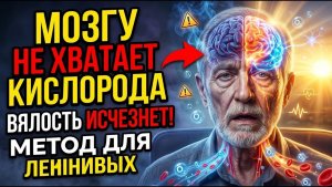 Мозг страдает без кислорода! Ленивый способ вернуть энергию за считанные минуты