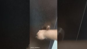 1000037914.mp4