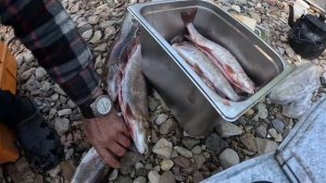 На рыбалку с другом на таёжную речку за ленком и хариусом.