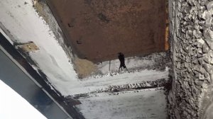 У светы Дельфинчик ласточки на балконе