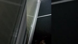 02-08-2026 Дон