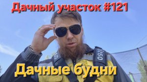 Дачный участок #121 Кошу траву | ПРИЕЗЖАЛА СЕСТРА