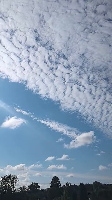 Безмятежность и покой. 💭💭🌥️🌤️.mp4