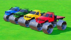 ТРАНСПОРТ КРАСОТЫ И МОНСТР-ТРАКИ FS22!