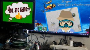 Дедушка развлекается – что это было?