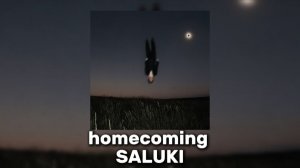 SALUKI - homecoming 🎤