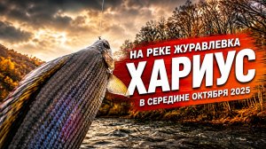 Рыбалка на реке Журавлёвка (Ното) Приморского края в середине октябрь 2025 года
