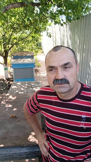 Меняю медовые на вощину.