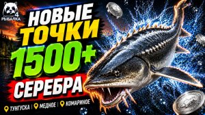 🤑 ТОП-3 ТОЧКИ ФАРМА и РАЗДАЧИ ТРОФОВ РР4 (02.08)! СВОДКА по ВОДОЕМАМ! ТУНГУСКА • МЕДНОЕ • КОМАРИНОЕ