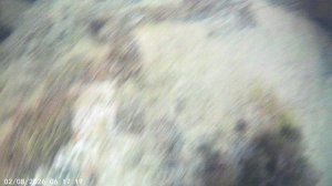 VID00009