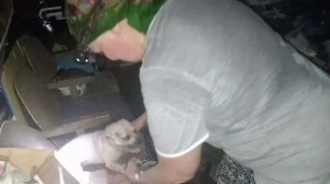Братская помощь в прифронтовых зонах