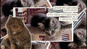 Дневник Барсика и его котят «Что такое КОТОВАСИЯ?» 01-08-2026