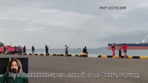 Жених с баяном