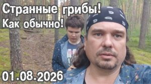 Странные Грибы Как Обычно!!! 01.08.2026
