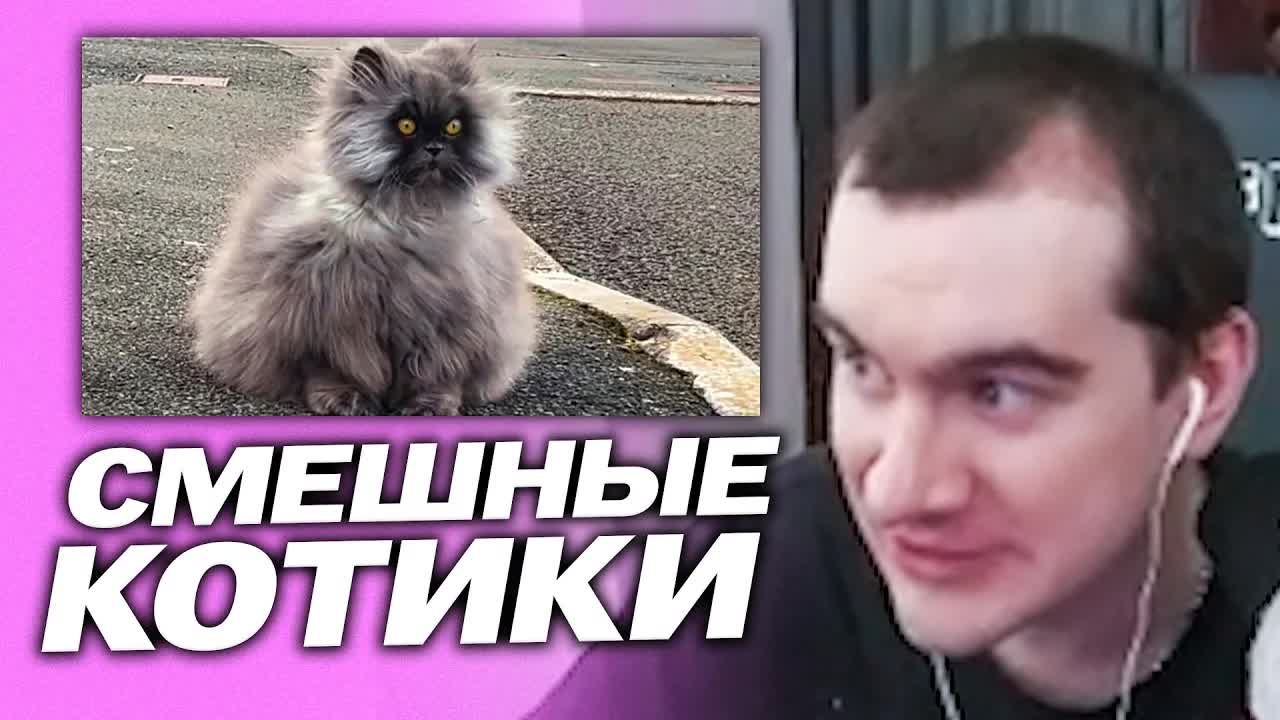 БРАТИШКИН СМОТРИТ - 👽 Самые Смешные Инопланетные Коты, Снятые на Камеру!