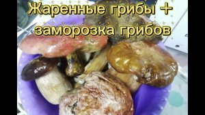 Жаренные грибы и + заморозка грибов