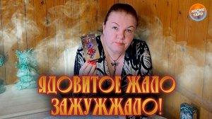 Ядовитое жало зажужжало! Кто злословит о тебе? | Таро расклад