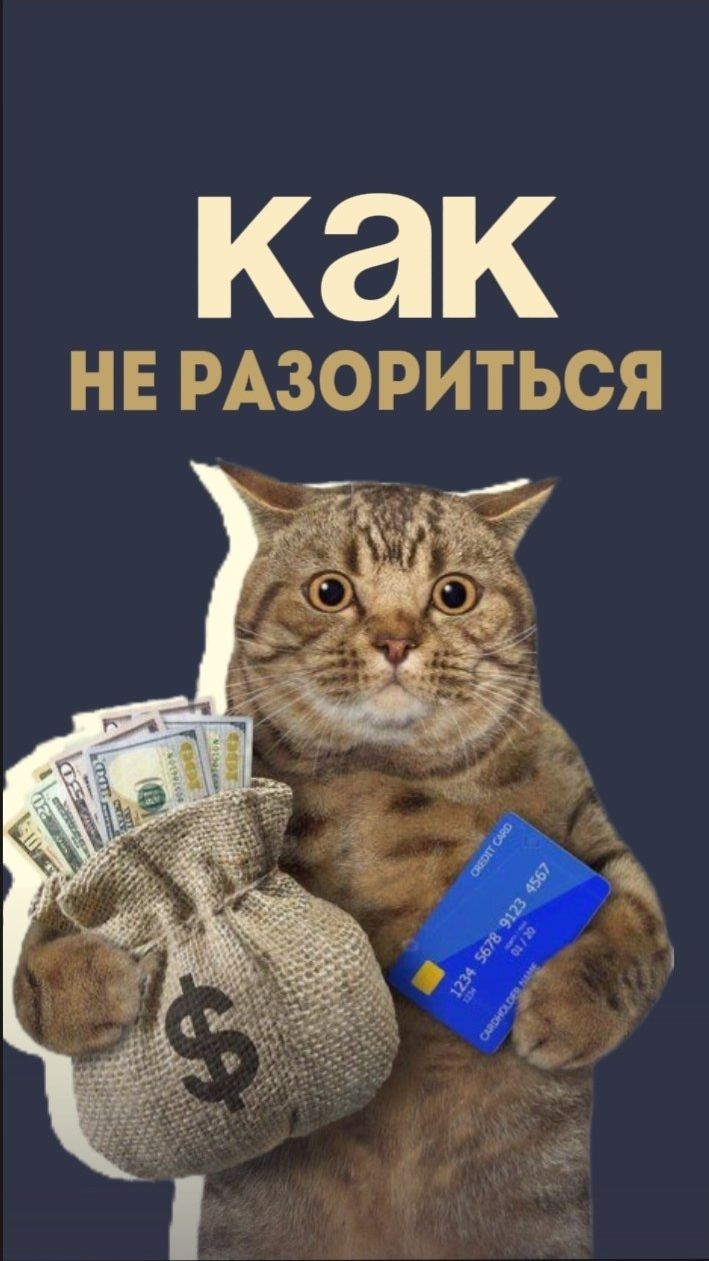 Как не разориться