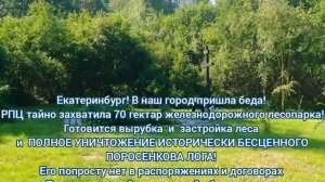 В Екатеринбург пришла беда!