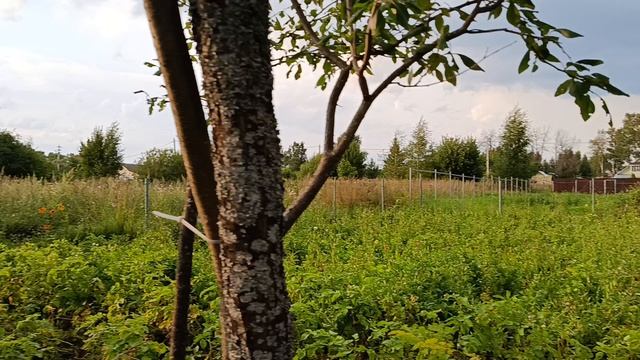 1000006717.mp4