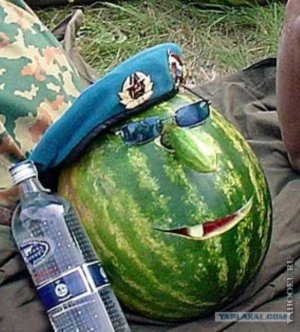 с днём ВДВ 🇷🇺🇷🇺🇷🇺