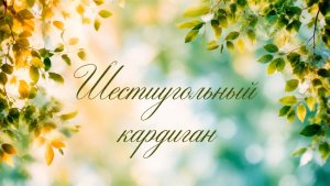 Кардиган из двух шестиугольников — ваша новая любовь