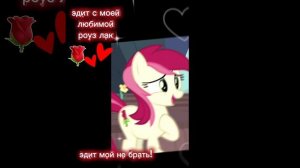 роуз🌹🌹🌹 #mlp