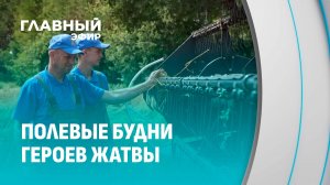 Собрано миллионы тонн зерна! О полевых буднях героев жатвы.