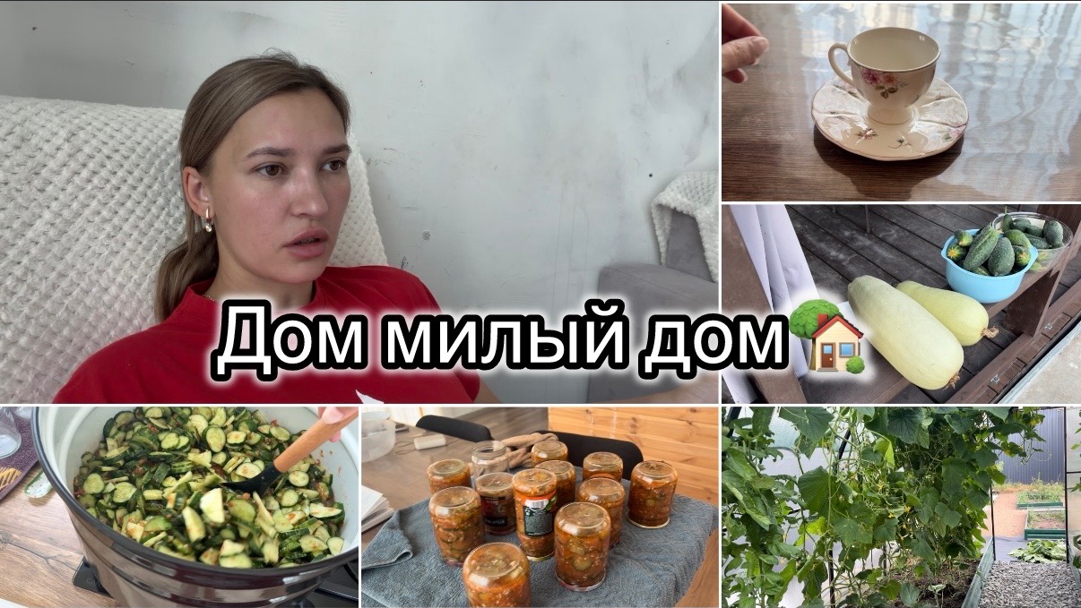 Вернулись домой🏡 чашечка из Петергофа☕️ завелся крот😰 салат на зиму🔥