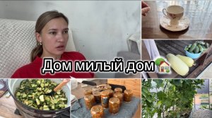 Вернулись домой🏡 чашечка из Петергофа☕️ завелся крот😰 салат на зиму🔥