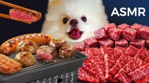 АСМР / МИЛЫЙ СОБАЧИЙ МУКБАНГ / ПОМЕРАНЕЦ ЮЭ ЕСТ КОРЕЙСКИЙ СТЕЙК, СОСИСКИ И СПАМ