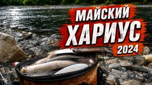 Рыбалка на хариуса в конце мая на горной реке.