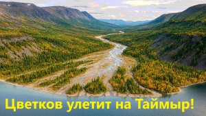 Цветков улетит на Таймыр!