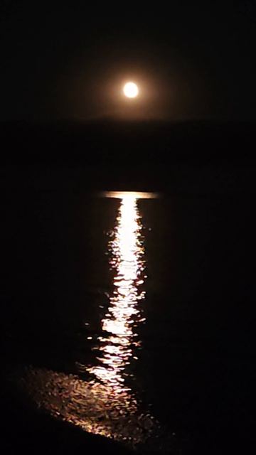 #amsr #sea #waves  #moon #Крым #черноеморе #яковенково #волны #море #луна #архангельские