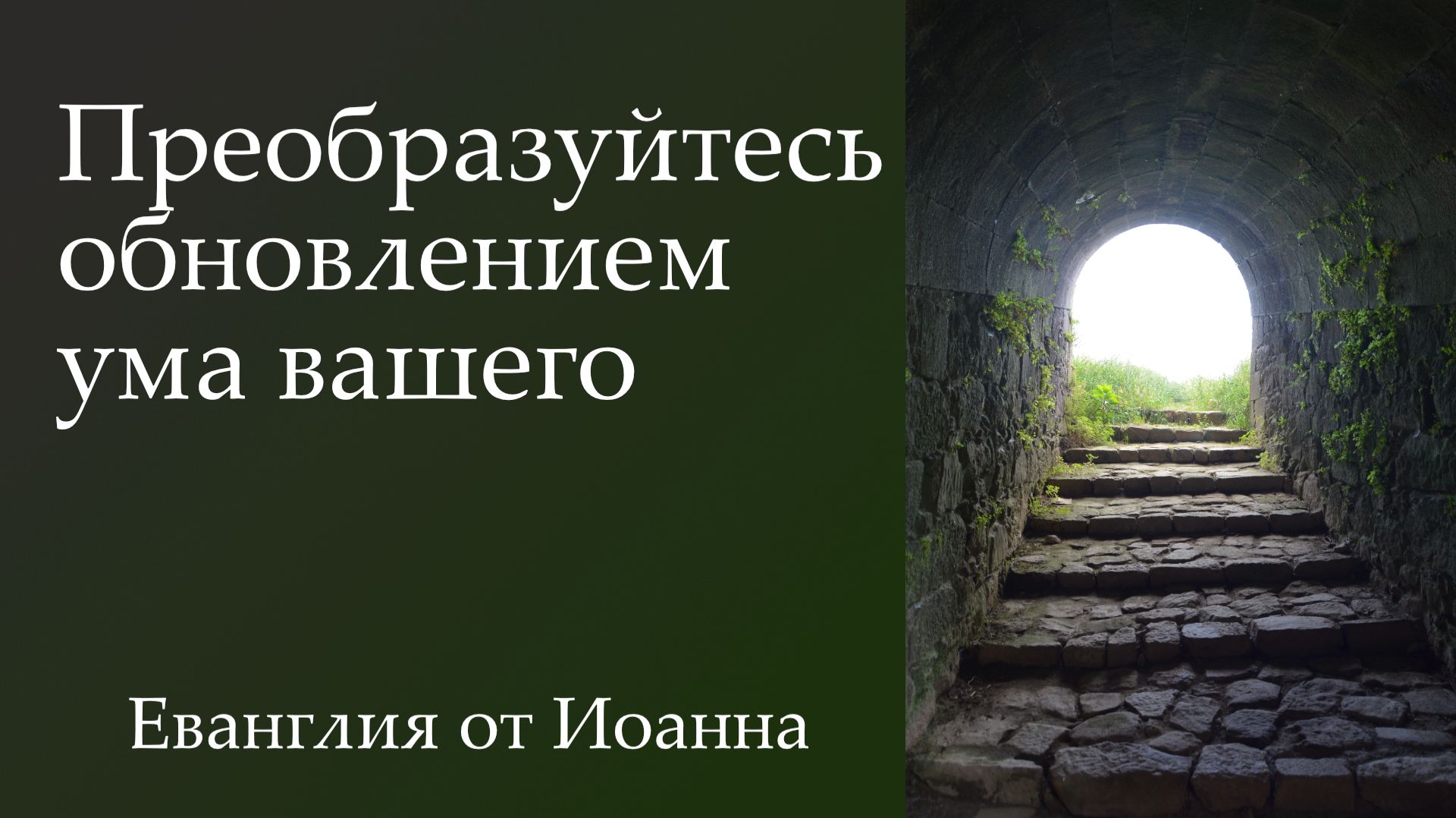 ты не из учеников ли Этого Человека?
