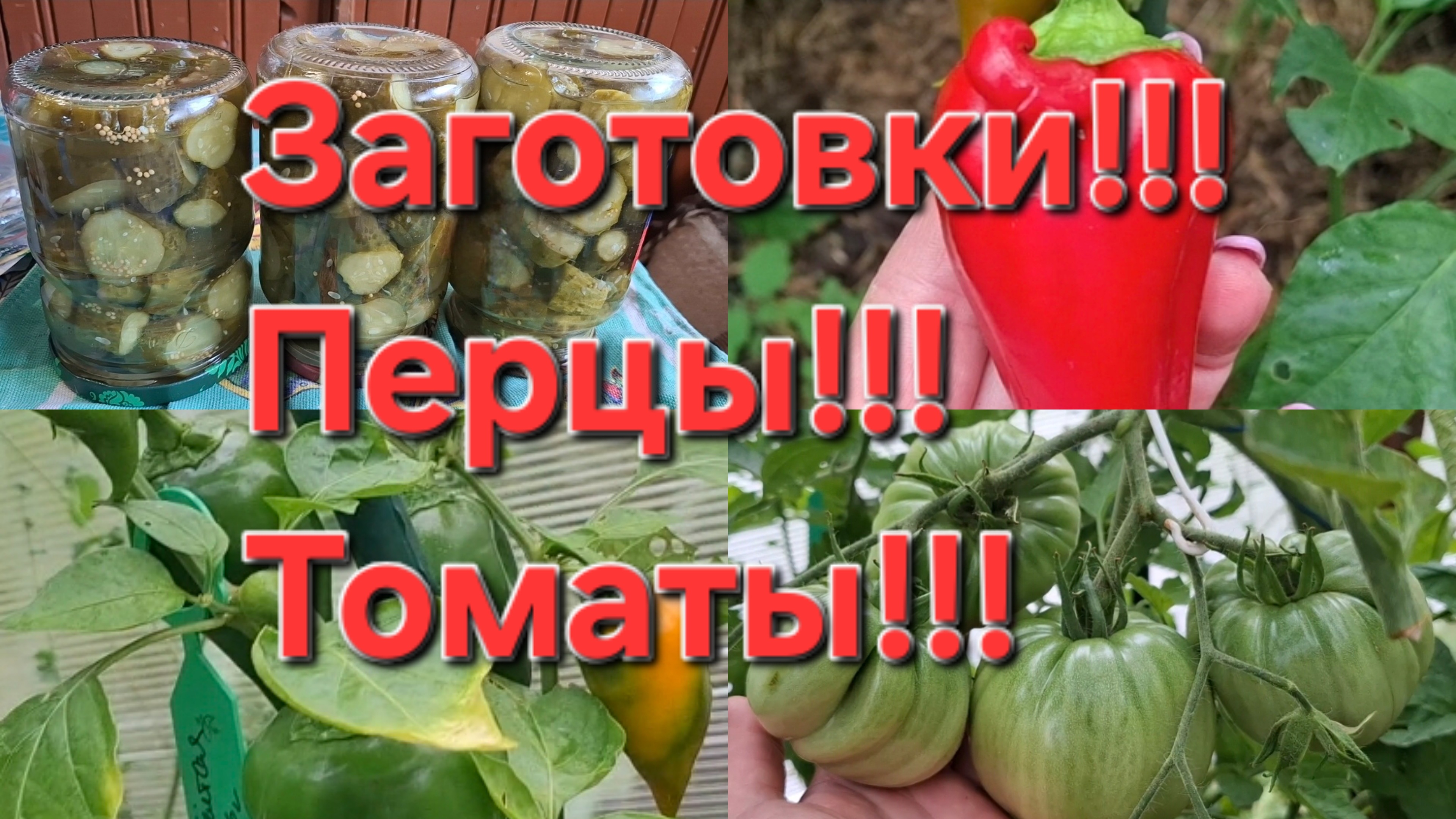Огурцы по Фински!!! Томат Сладкая свёкла!!! А перец,просто сладкий перец!!!