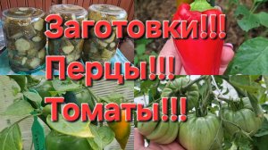 Огурцы по Фински!!! Томат Сладкая свёкла!!! А перец,просто сладкий перец!!!