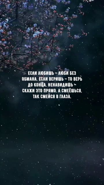 #1142 Цитата дня. Мотивация.