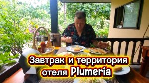 4 серия. Паттайя. Утро и завтрак в отеле Плюмерия. Прогулка по территории отеля. Июль 2026 г