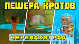 ИГРА СУПЕР МИШКА ПЕЩЕРА КРОТОВ В ЧЕРЕПАХОГРАДЕ