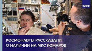 Космонавты рассказали о наличии на МКС комаров