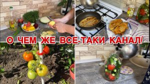 Домашний влог