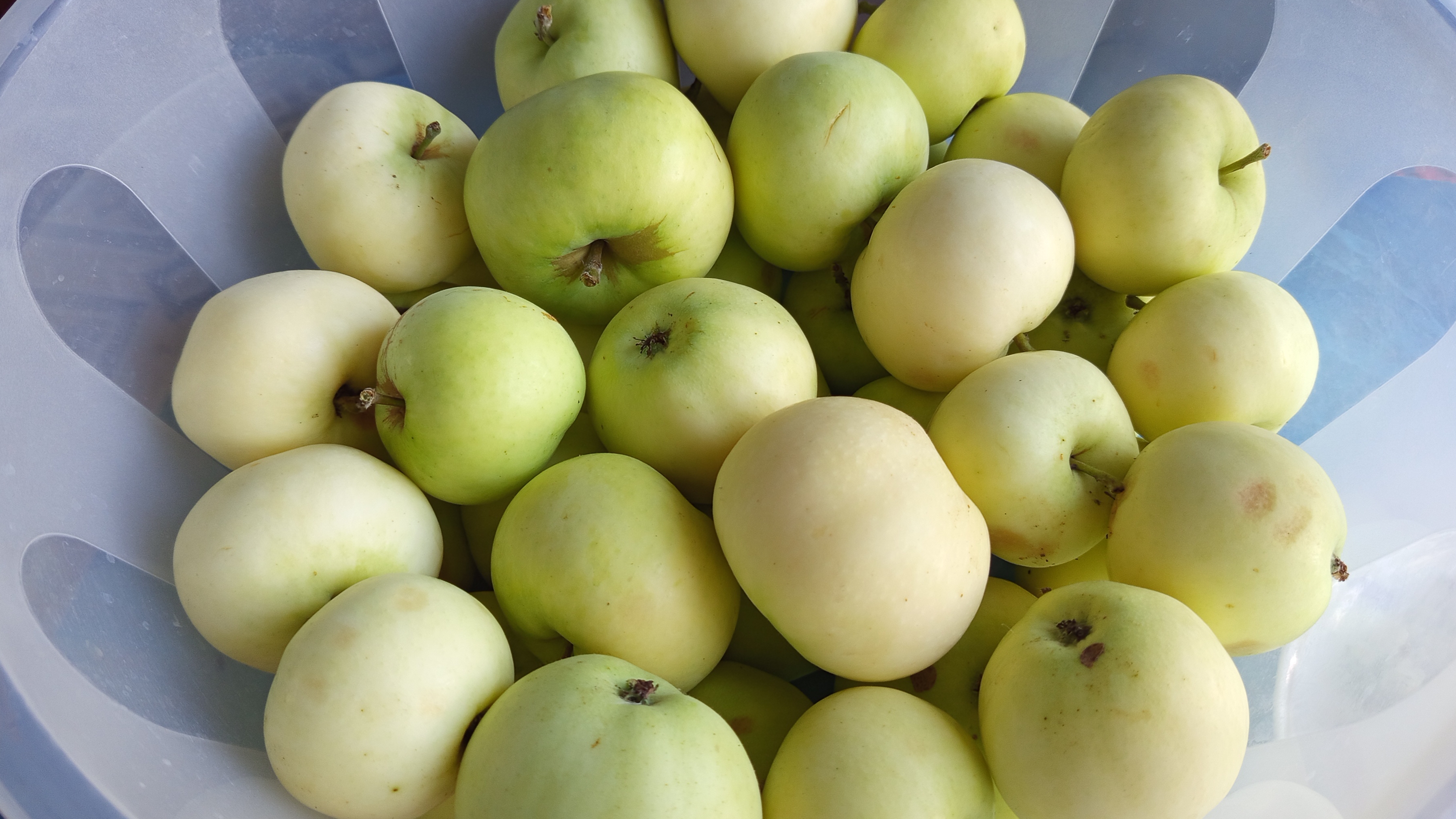 34. Меню на неделю и текущая закупка продуктов на 3357р (27.07 - 02.08)