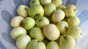 34. Меню на неделю и текущая закупка продуктов на 3357р (27.07 - 02.08)